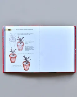 Best 365 Days Of Drawing Salongbordbøker