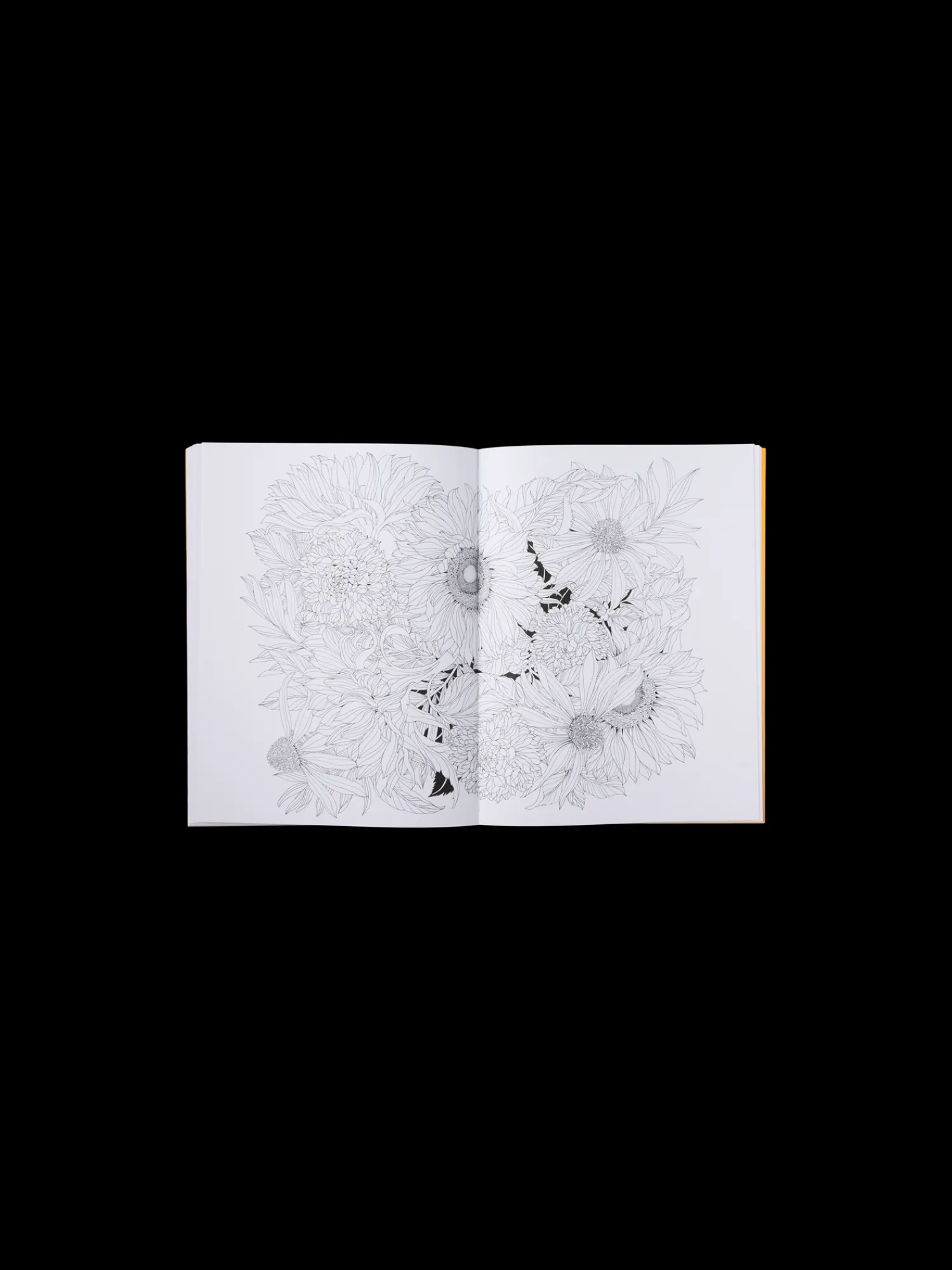 Hot Beautiful Planet Colouring Book Salongbordbøker