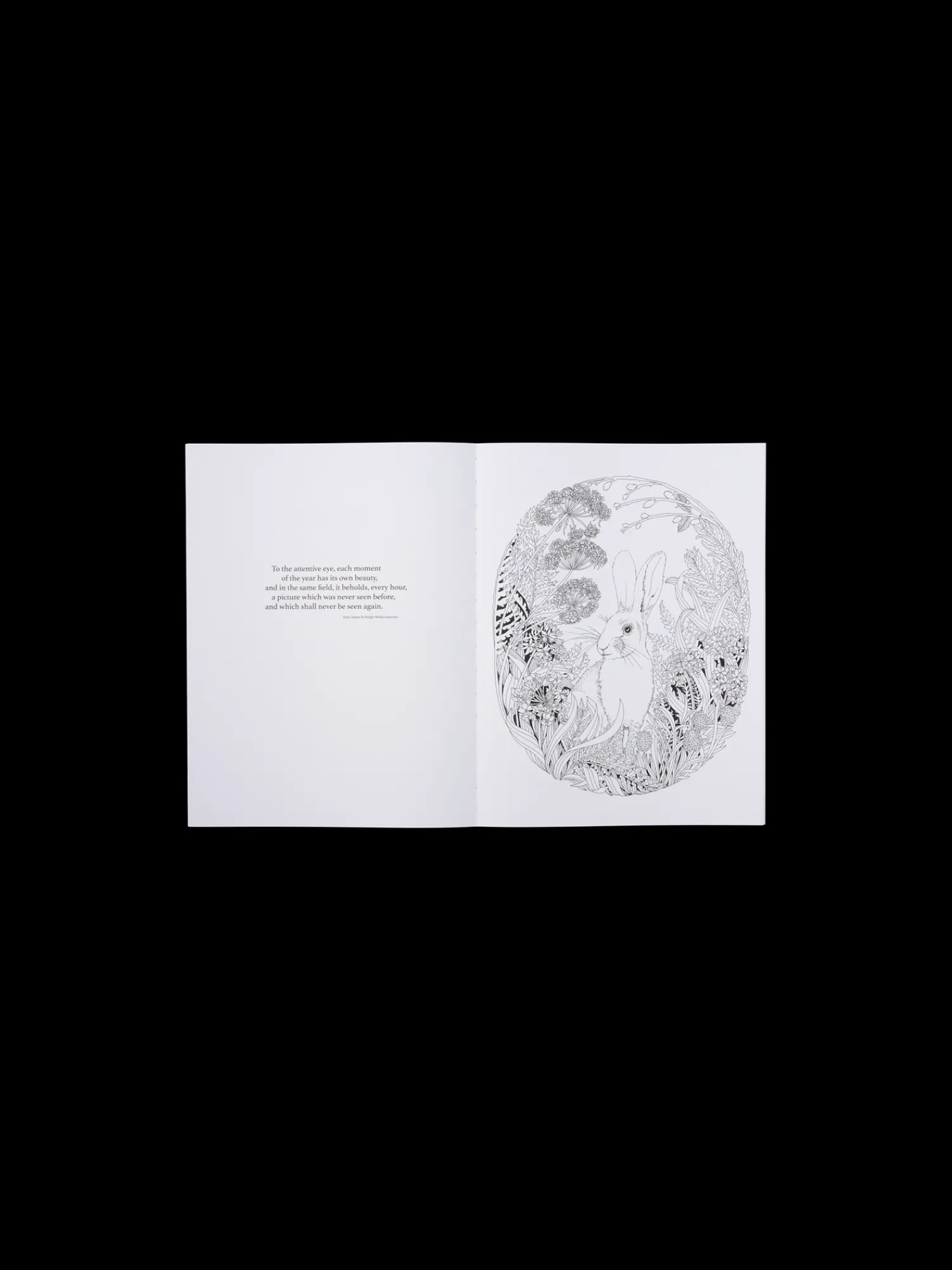 Clearance Beautiful Planet Colouring Book Salongbordbøker