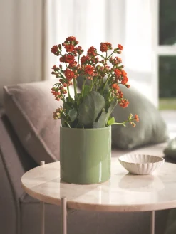 Blomsterpotte Vaser Og Potter