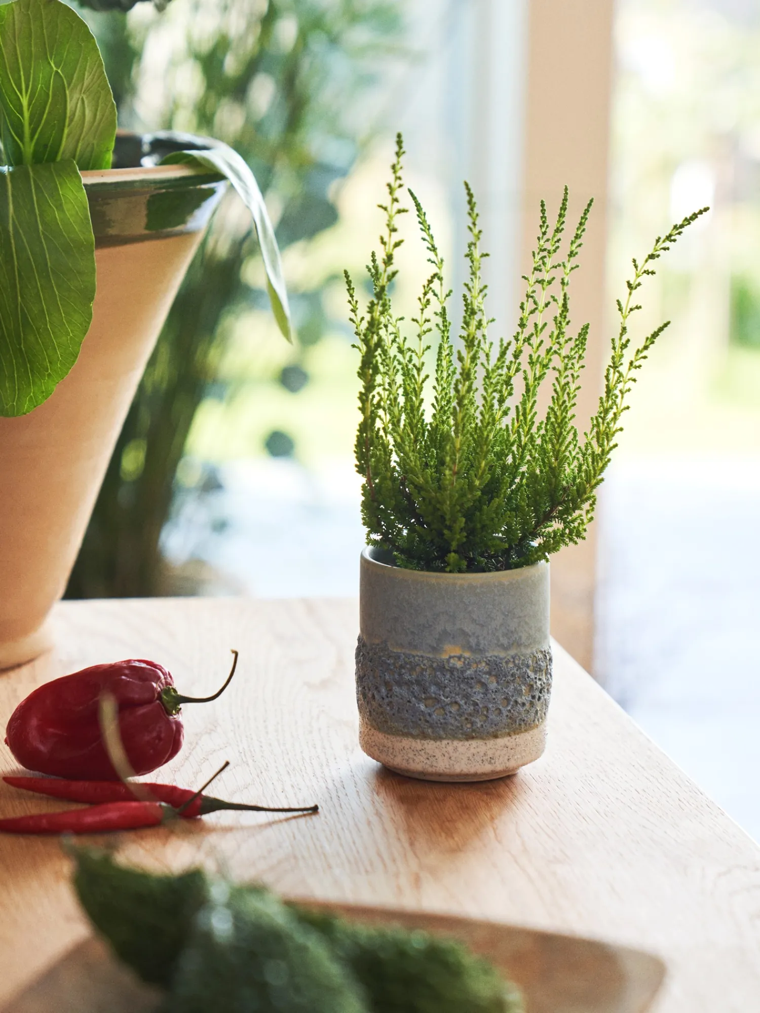 Online Blomsterpotte Vaser Og Potter