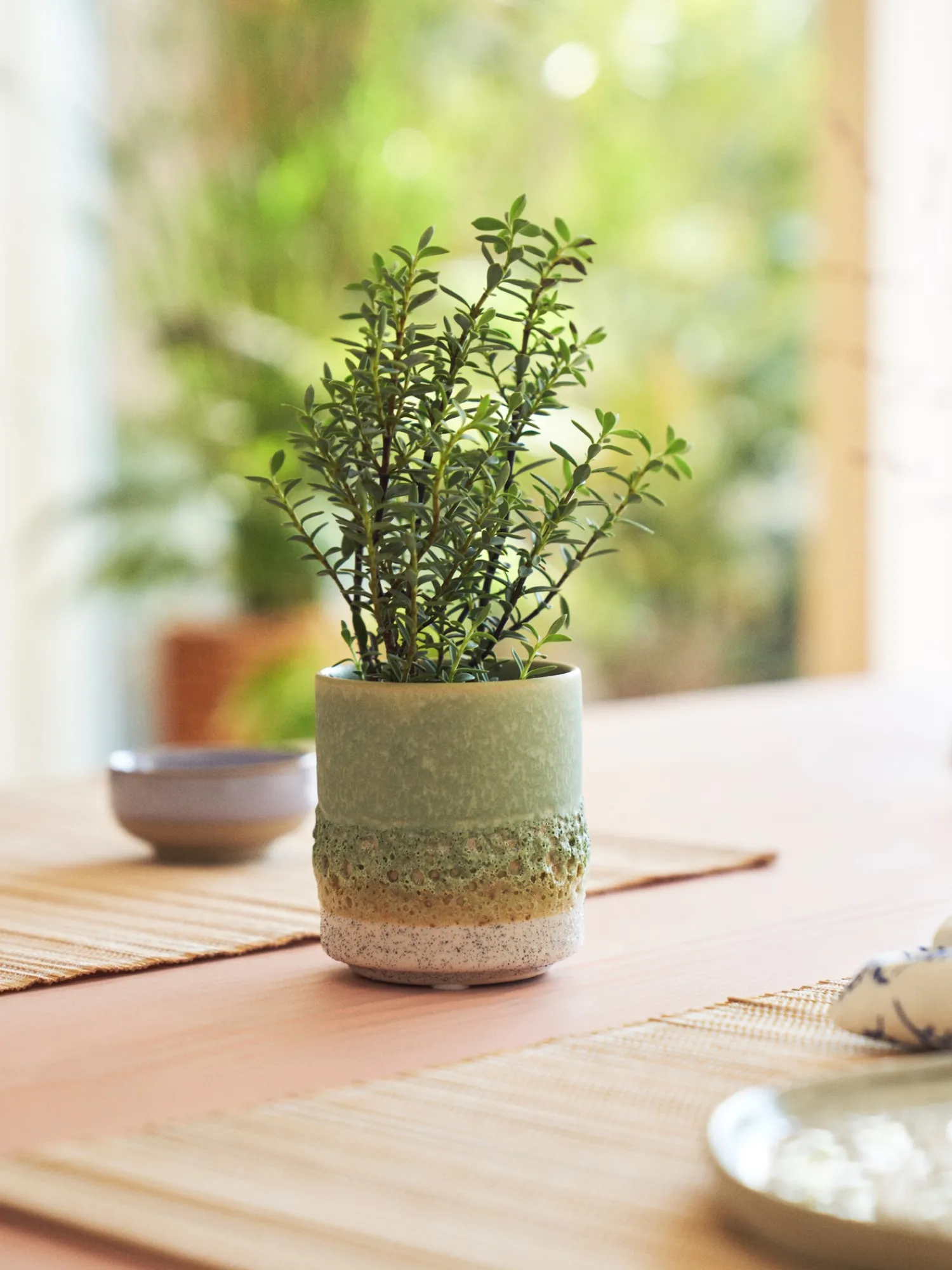 Online Blomsterpotte Vaser Og Potter