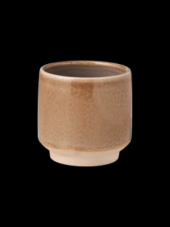 Blomsterpotte Vaser Og Potter