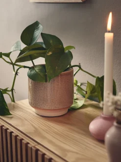Blomsterpotte Vaser Og Potter