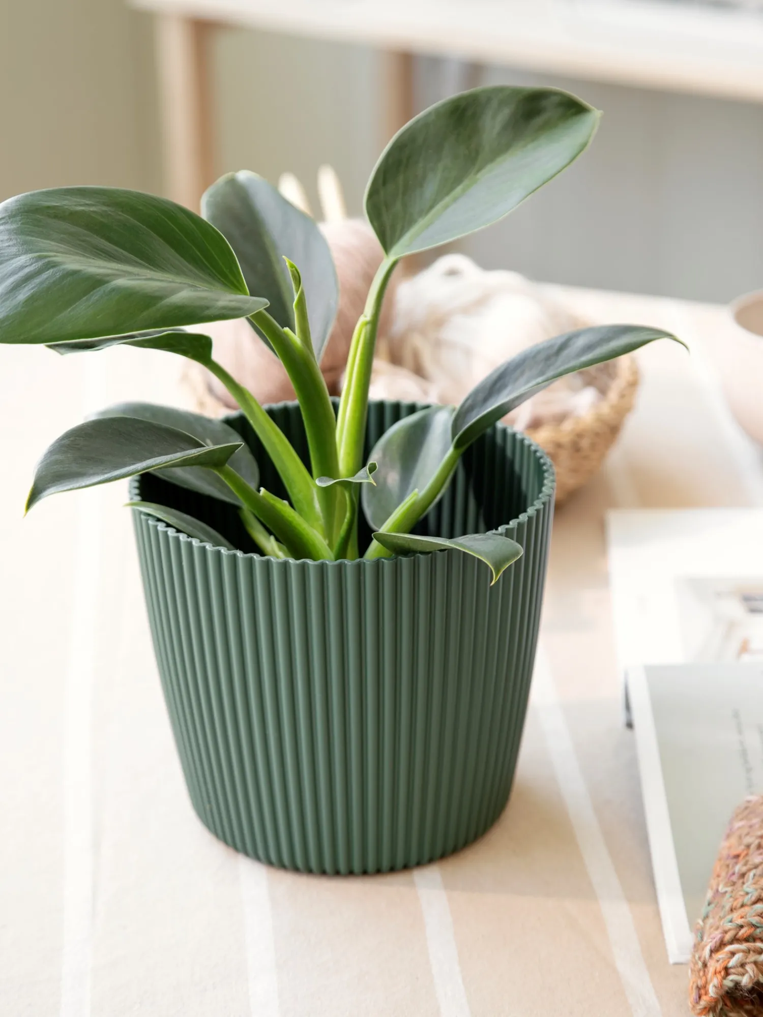 Online Blomsterpotte Milly Ø16,9 Cm Vaser Og Potter