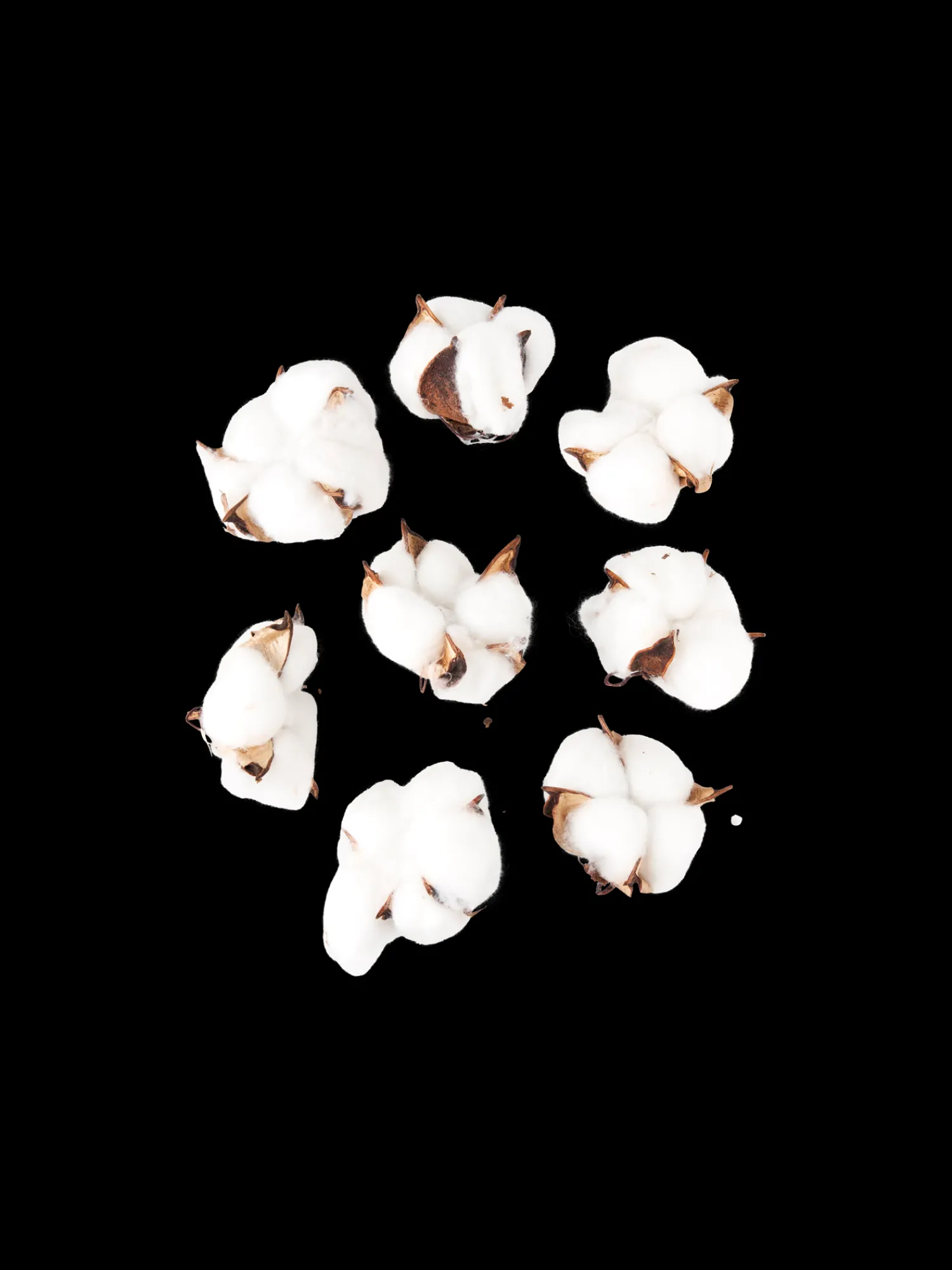 Sale Dekorative Bomullsblomster Dekorasjon