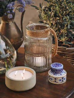Hurricane Lysestake Lysestaker