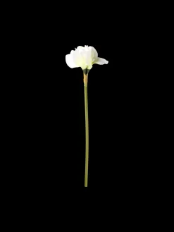 Online Kunstig Blomst Dekorasjon