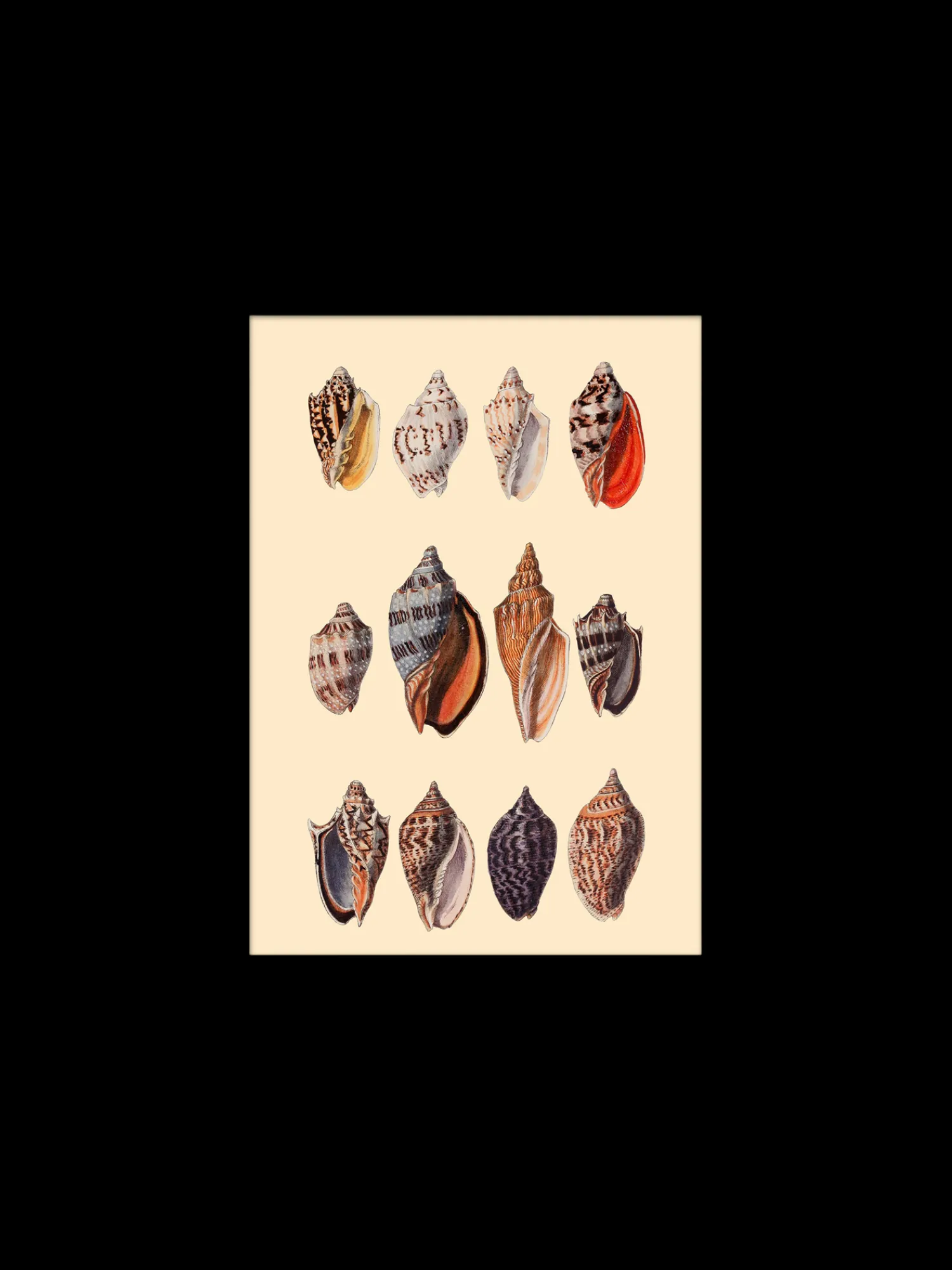 Outlet Plakat 15 X 21 Cm Rammer Og Plakater