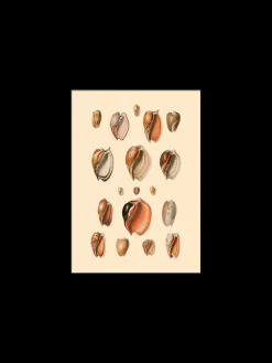 Online Plakat 15 X 21 Cm Rammer Og Plakater
