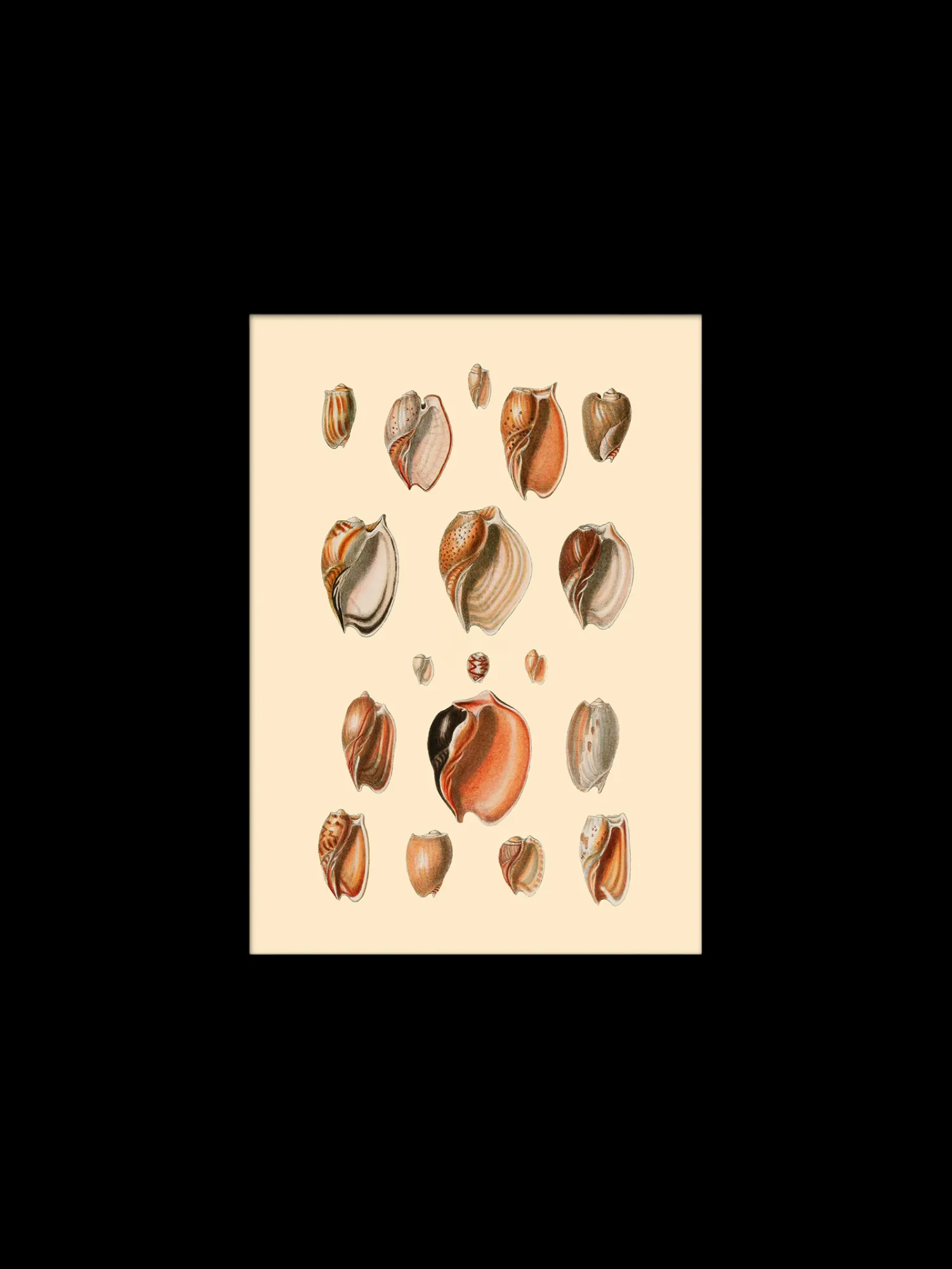 Online Plakat 15 X 21 Cm Rammer Og Plakater