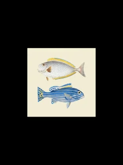 Clearance Plakat 24 X 24 Cm Rammer Og Plakater