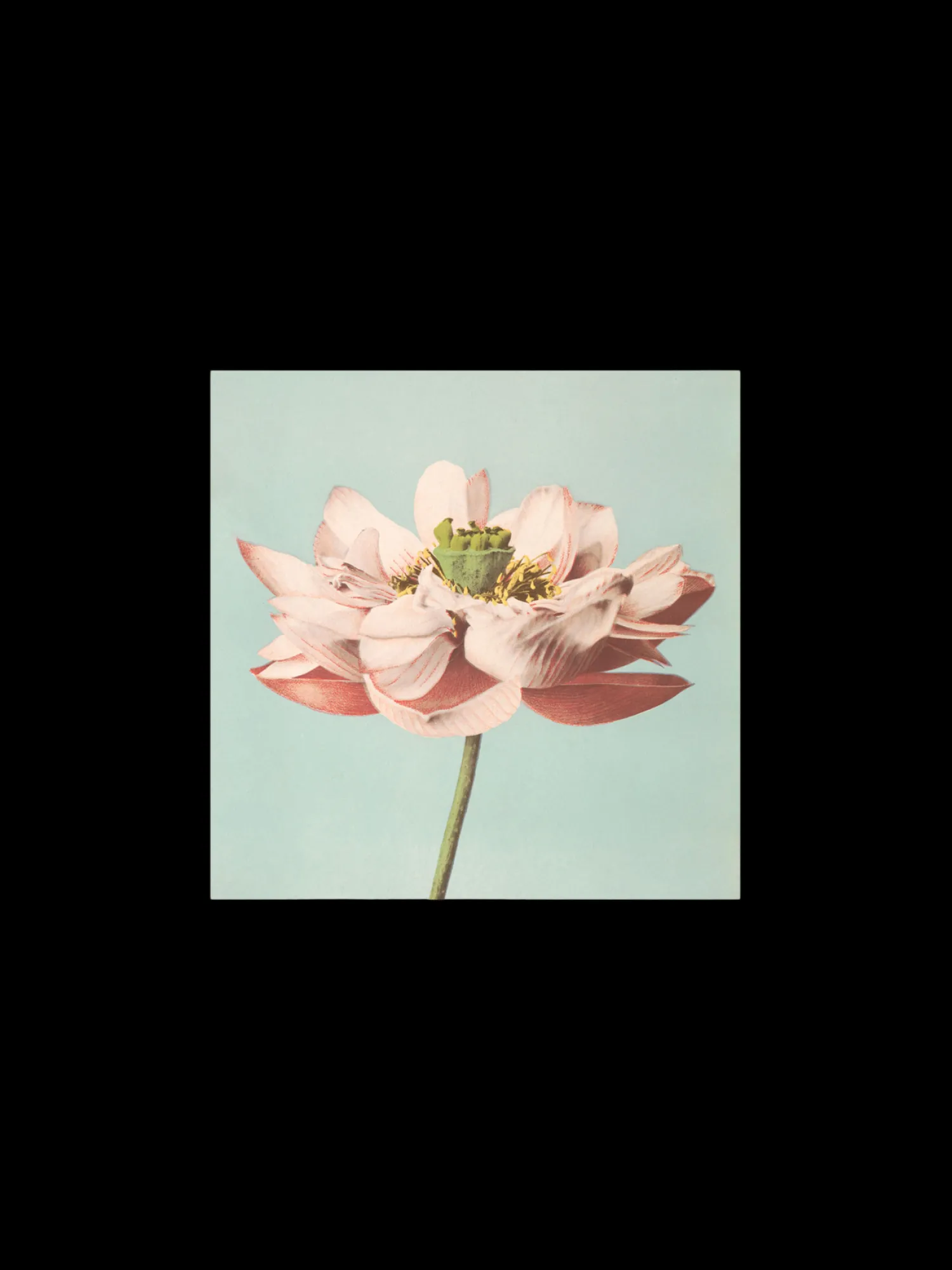 Discount Plakat 24 X 24 Cm Rammer Og Plakater