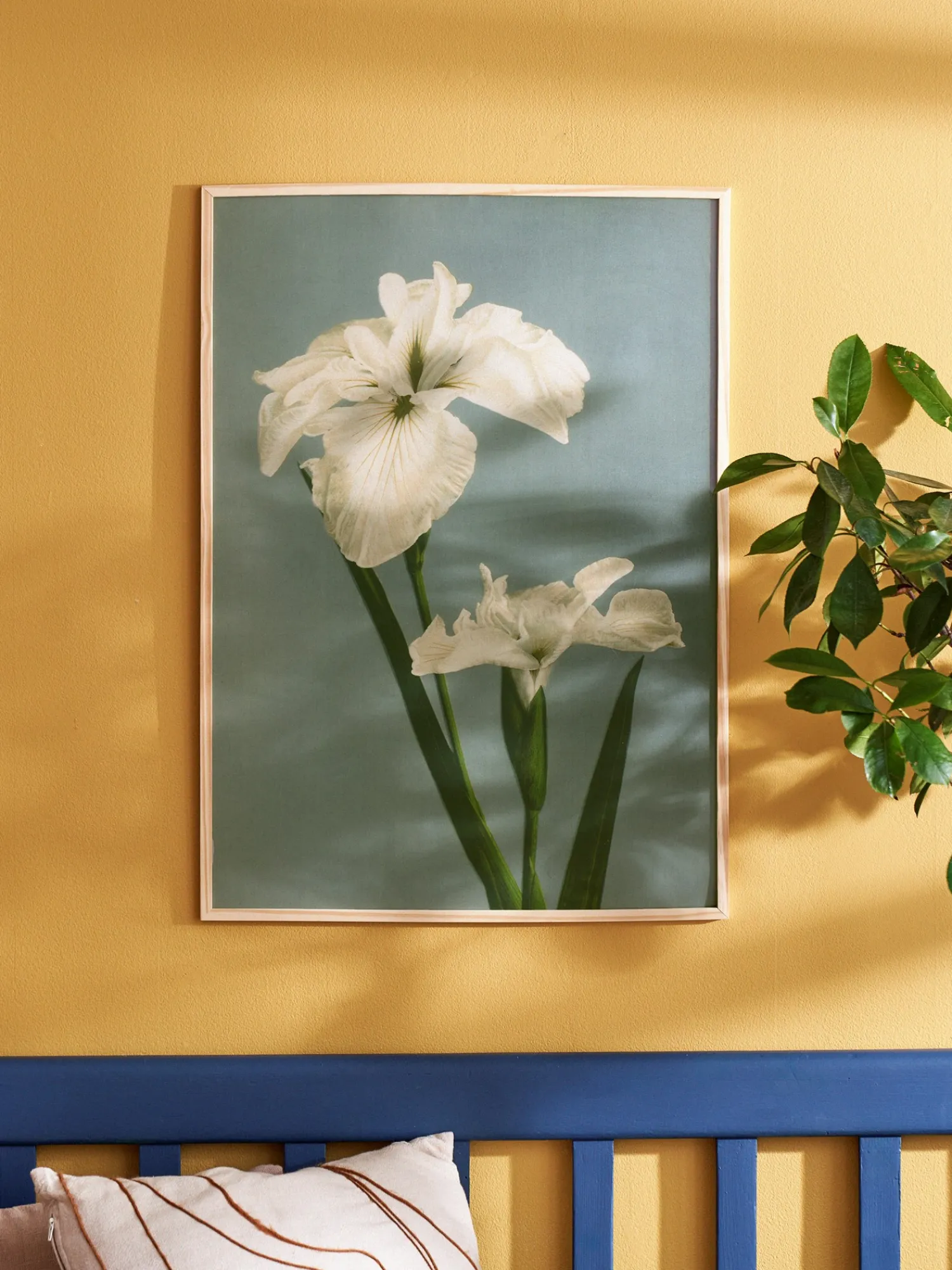 Online Plakat 50 X 70 Cm Rammer Og Plakater