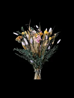 Online Tørkede Blomster Valentina Medium Dekorasjon